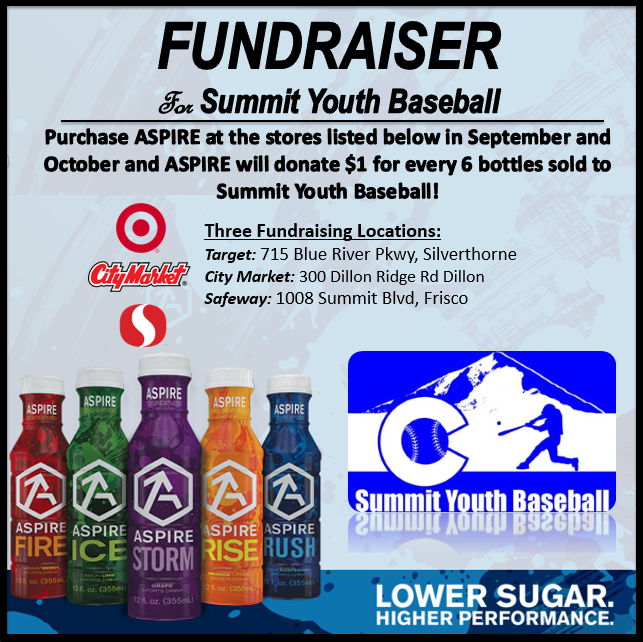 ASPIRE_Summit Youth Baseball Fundraise Flyer_Fall2016